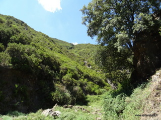 Torrente Vacco